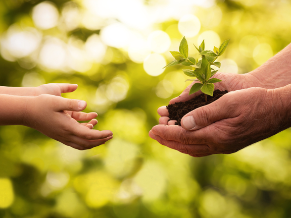 The hands of an elderly person and a young person holding the soil